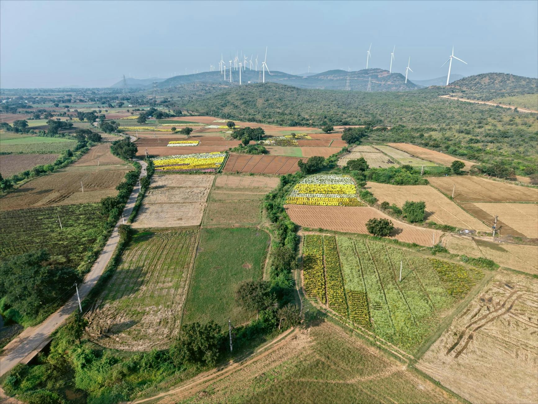 Beautiful aerial landscape of colorful fields and wind turbines in a rural setting.